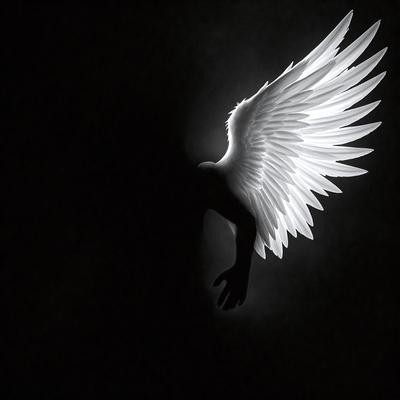The primary subject of the image is a white angel wing, which is the main object, scene, or focus of the image. The setting is a dark background, which creates a dramatic and moody atmosphere. The visual style is a combination of photo and digital art, as the image appears to be a blend of the two. The colors and mood are predominantly dark, with the white angel wing being the only bright and light element in the scene.